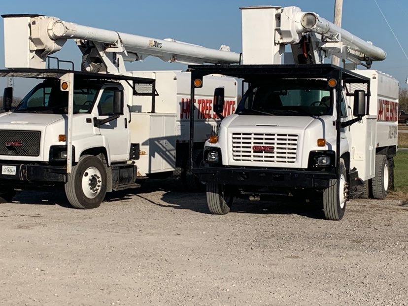 JNF Tree Service 618 . 541 . 8494