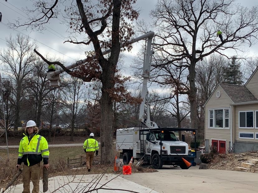 JNF Tree Service 618 . 541 . 8494