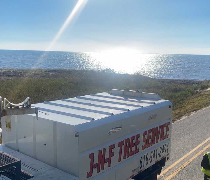 JNF Tree Service 618 . 541 . 8494