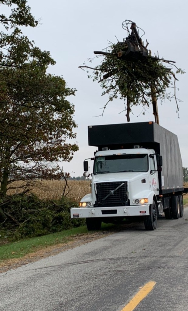 JNF Tree Service 618 . 541 . 8494